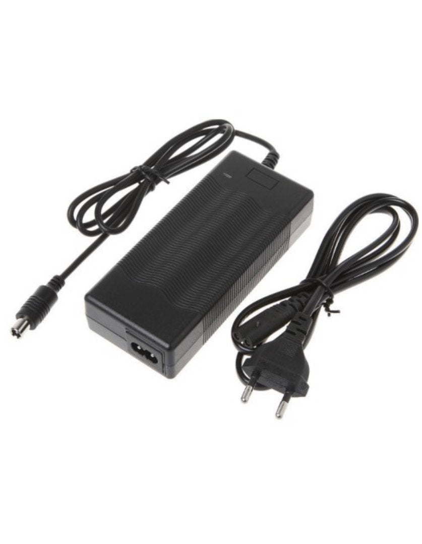 Caricatore Ninebot 36V